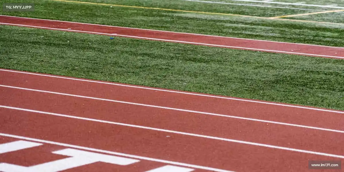 世界杯官网入口🎾挥动球拍，击出精彩！在体育的战场上，做自己的冠军！